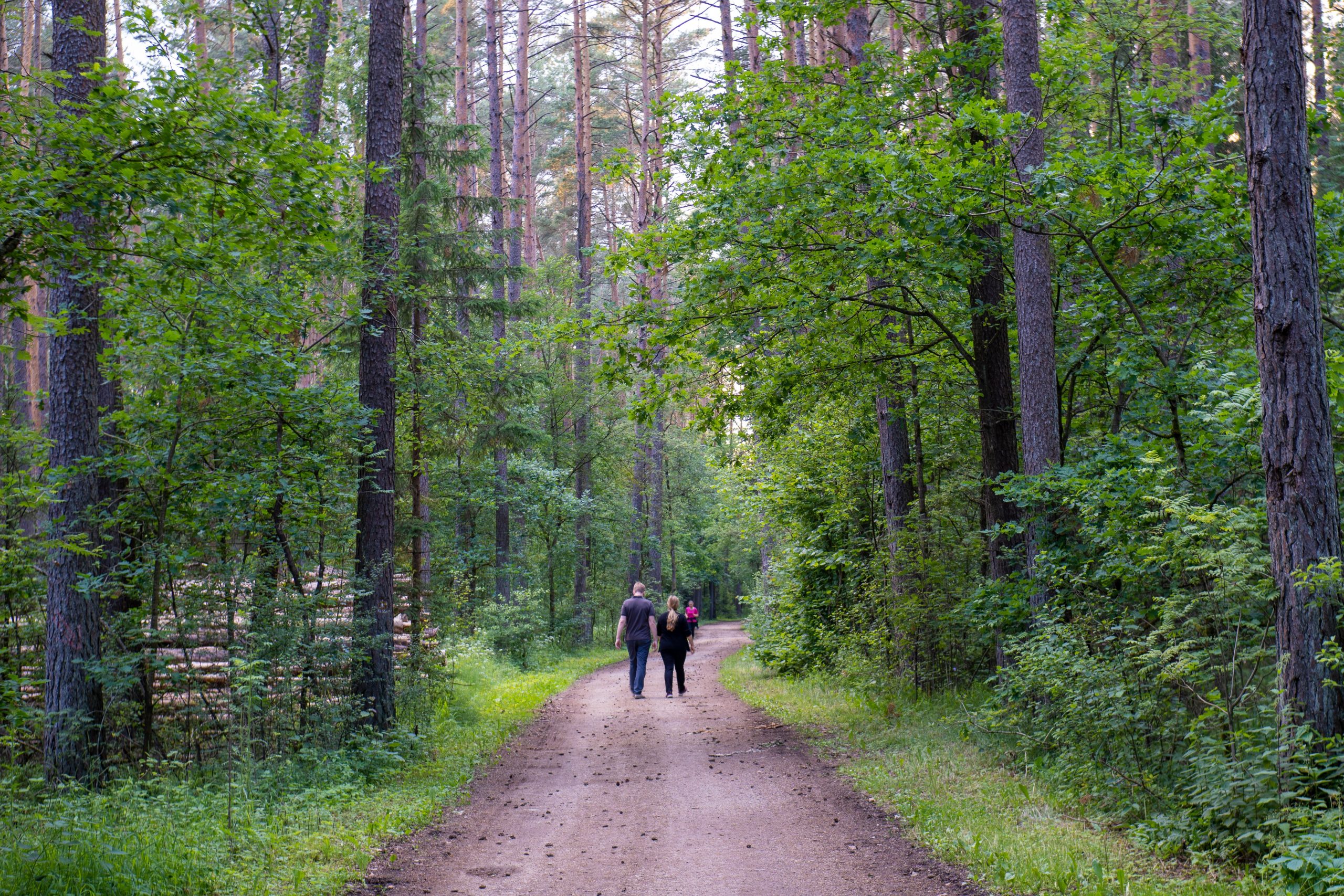 Ihmisiä nauttimassa luonnosta. Luonnossa liikkuminen ylläpitää työkykyä.